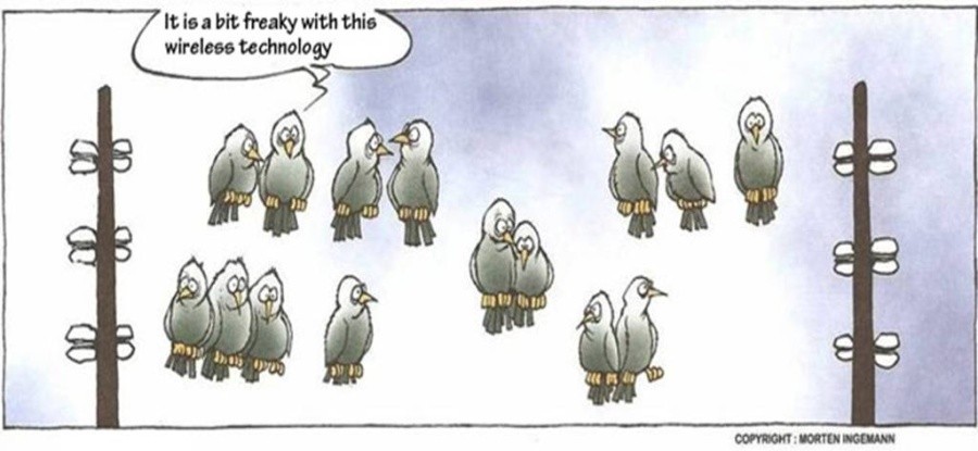 birds on wire wireless joke
