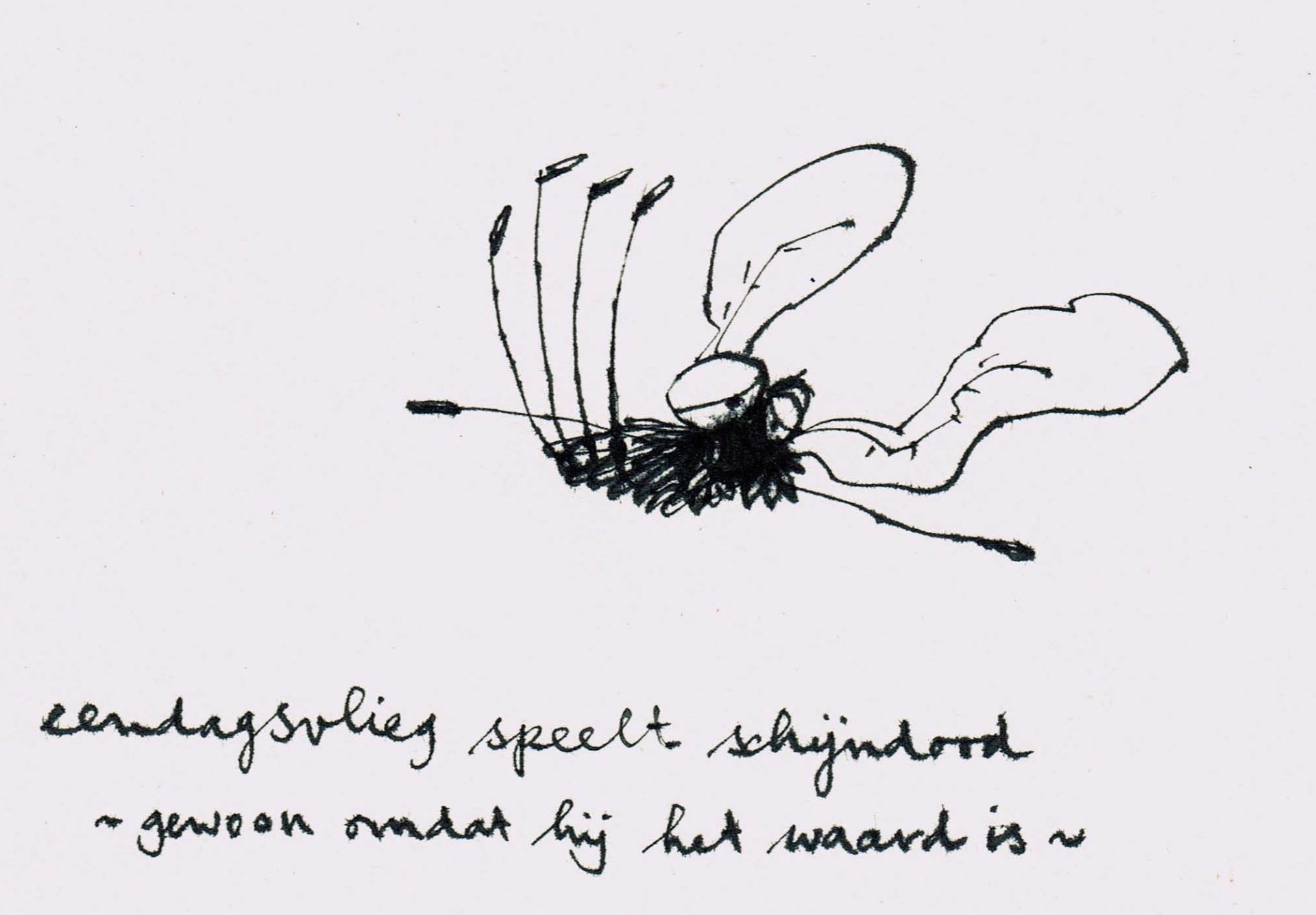 eendagsvliegje schijndood