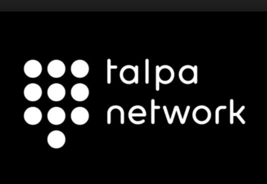 Talpa wil Facebook en Google verslaan: Nederlandse content via zes pijlers 1 TalpaNetwork