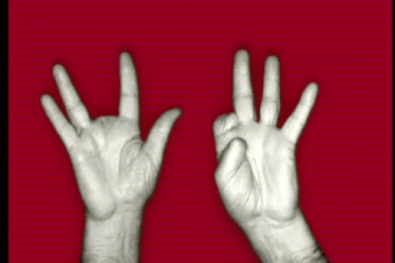 ee24d35df7ada6706e95fe01a0a47769