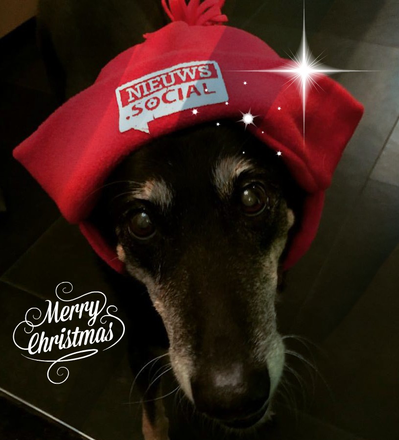 socialmediaNL merrychristmas 4898270941800239281 n