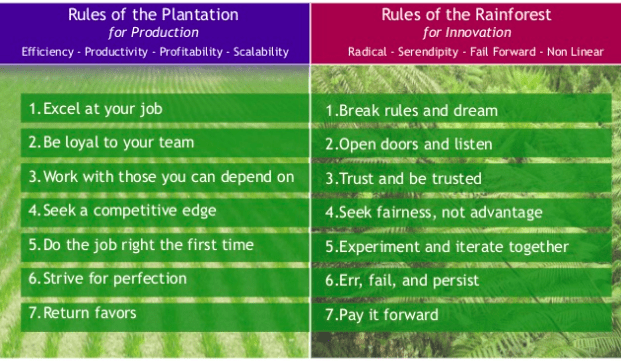 Plantage vs regenwoud