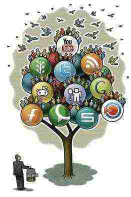 social media boom