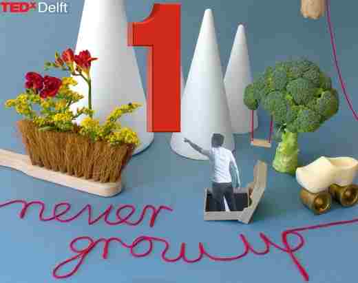tedxdelft never grow up 1 dag
