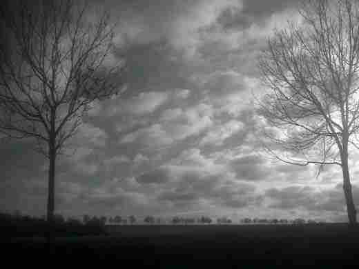 brakel