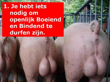 vakdagdmballen