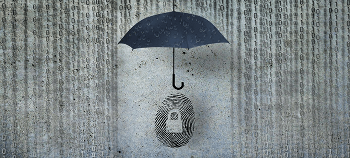 De Digital ID Wallet: 'In de fysieke wereld via smartphone identificeren' 1 img 5d494f04d7629
