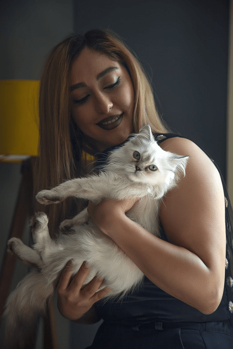 katten namen online marketing nieuws