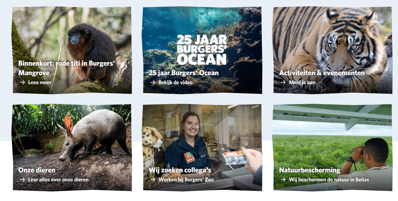 Koninklijke Burgers’ Zoo automatiseert digitale klantenservice met AI-agent 1 Koninklijke Burgers’ Zoo in Arnhem geautomatiseerd digitale klantenservice met AI-agent